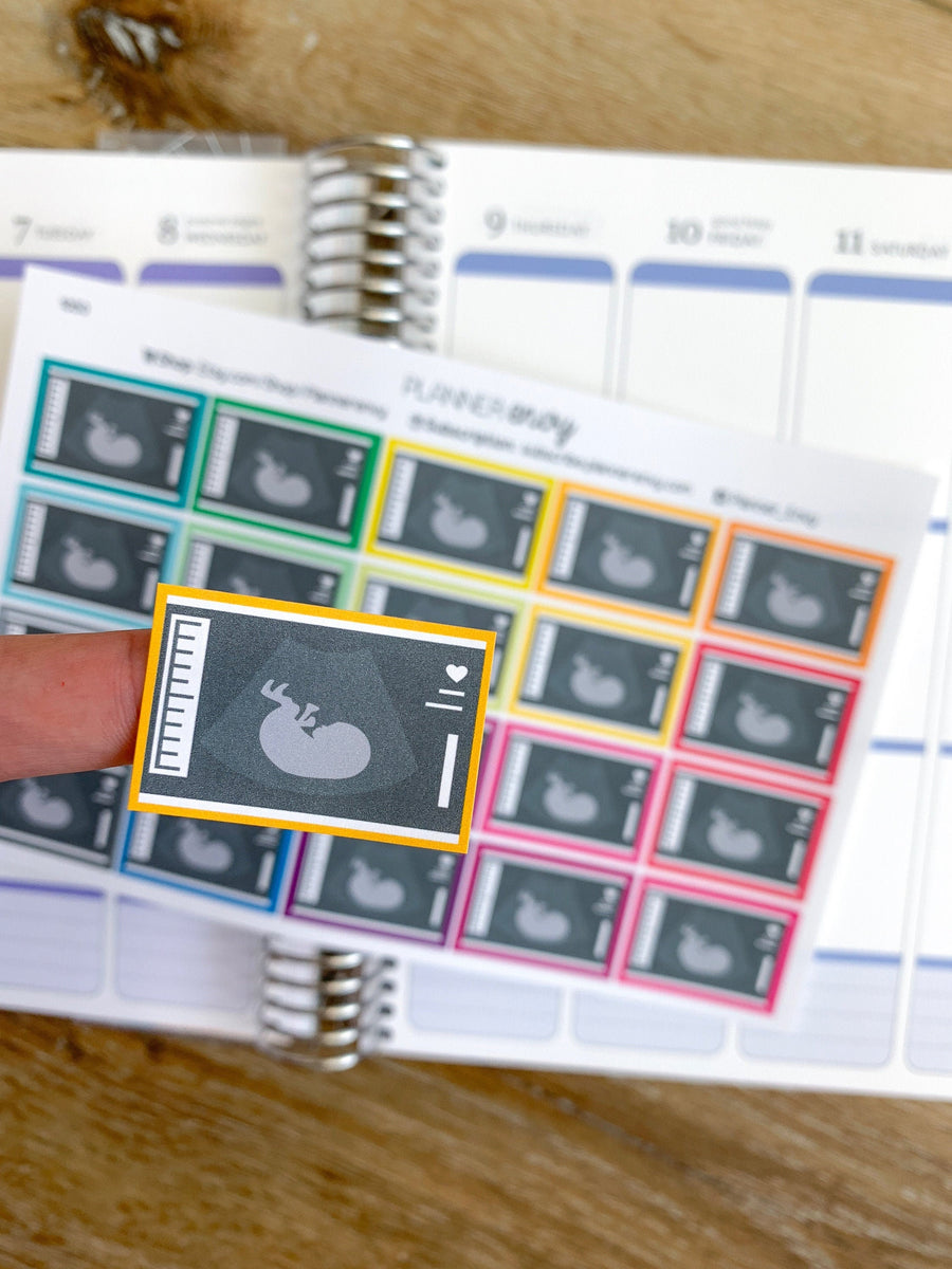 Ultrasound Pregnancy Doctors OBGYN Appt Appointment Planner Stickers t ...