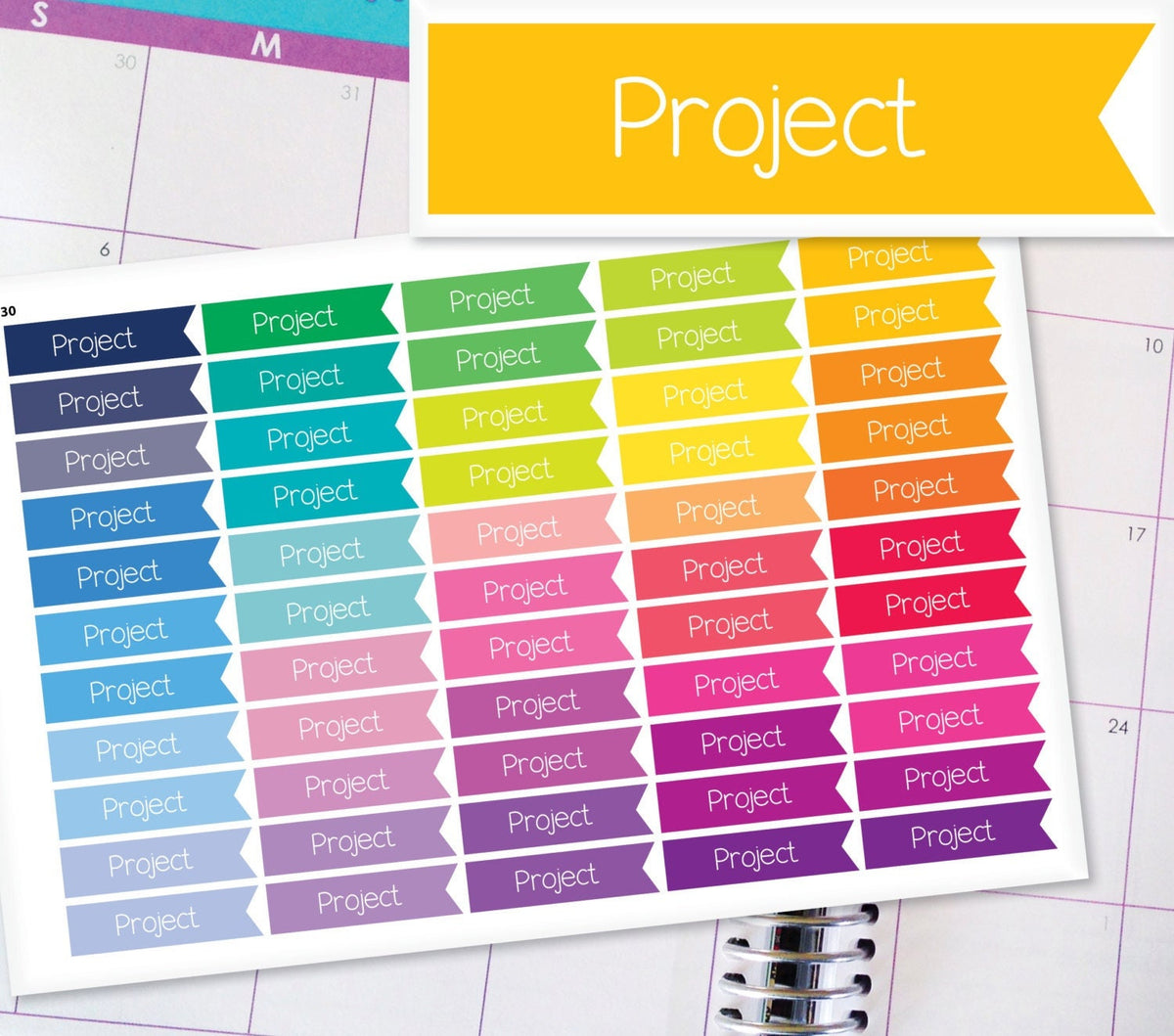 Project Flag Planner Stickers To Be Used With Erin Condren LifePlanner ...