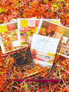 Fall Autumn Planner Stickers Pumpkin Paperclip Forest Notepad Leaves Trees Brown Orange. September 2023 Planner Envy Subscription Box.