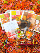 Fall Autumn Planner Stickers Pumpkin Paperclip Forest Notepad Leaves Trees Brown Orange. September 2023 Planner Envy Subscription Box.