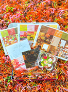 Fall Autumn Planner Stickers Pumpkin Paperclip Forest Notepad Leaves Trees Brown Orange. September 2023 Planner Envy Subscription Box.
