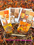 Thanksgiving Fall Football Planner Stickers. November 2023 Planner Envy Subscription Box.
