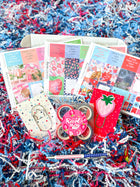 Summer 4th Of July, Strawberries, red white and blue, Pool Vacation. July 2024 Planner Envy Subscription Box.