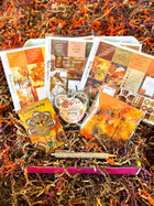 Thanksgiving Fall Football Planner Stickers. November 2023 Planner Envy Subscription Box.