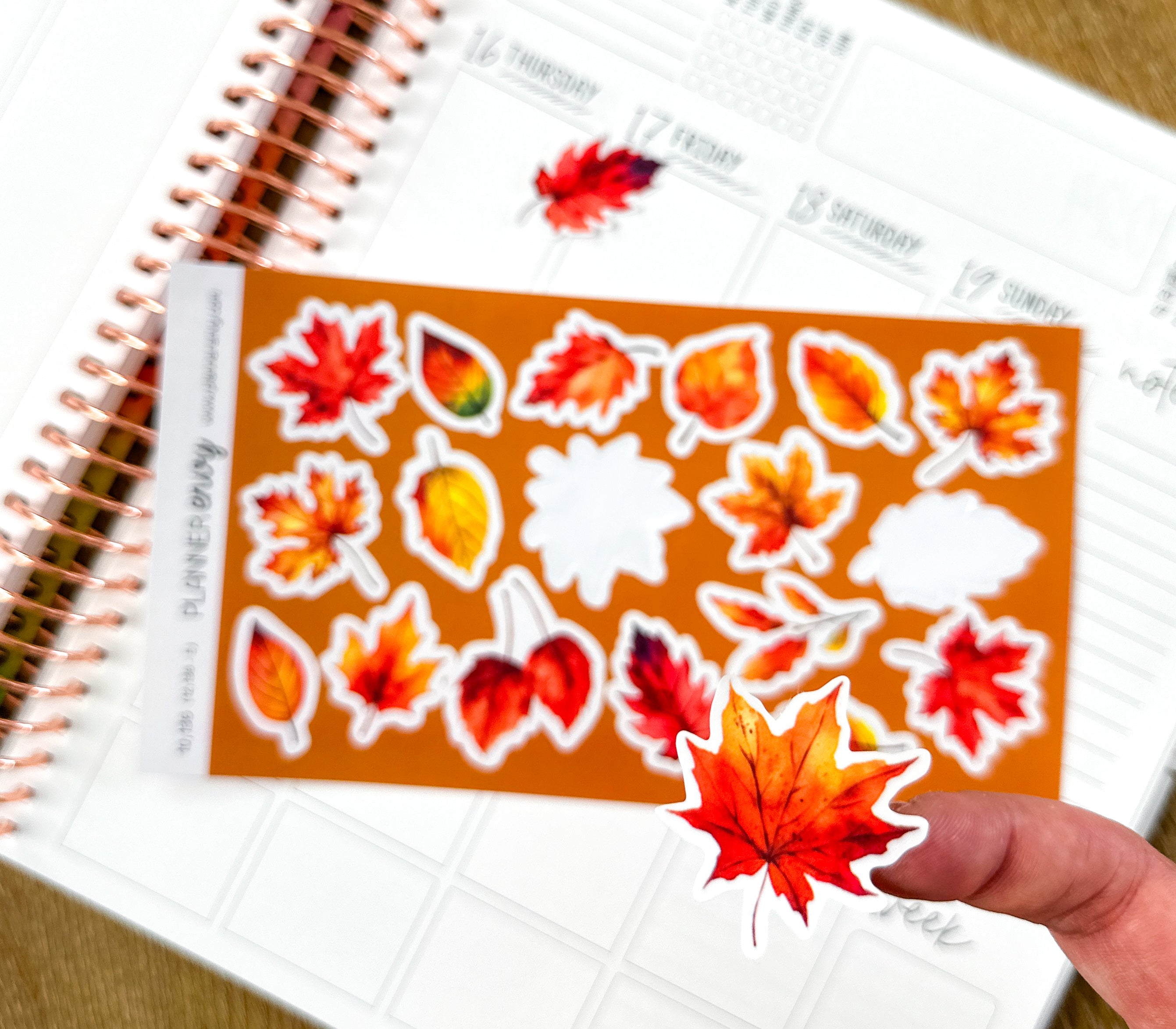 Fall Autumn Leaves Deco Planner Stickers Thanksgiving September Octobe ...